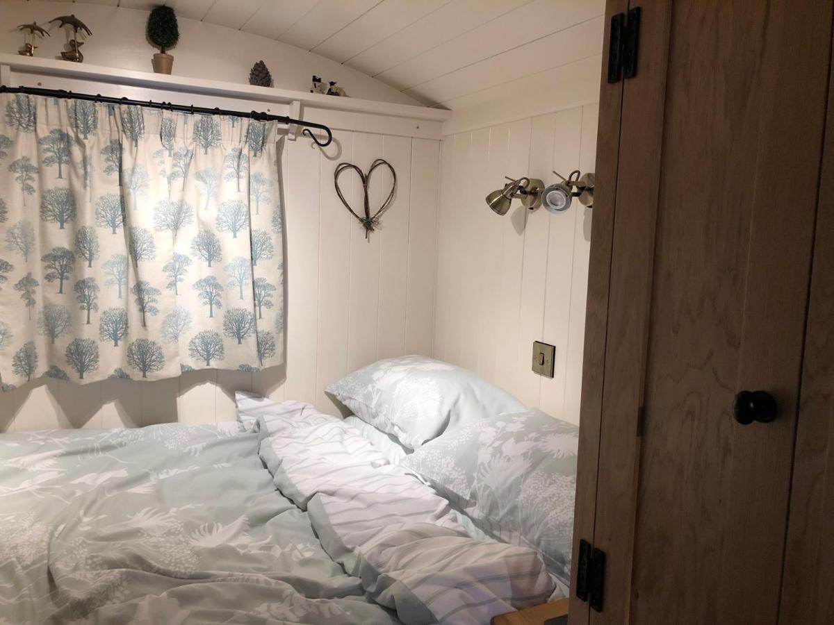Woody's Retreat *