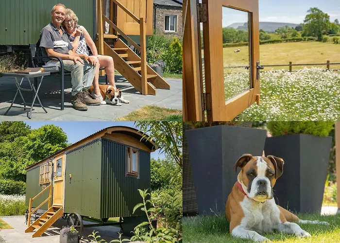 Woody\'S Retreat